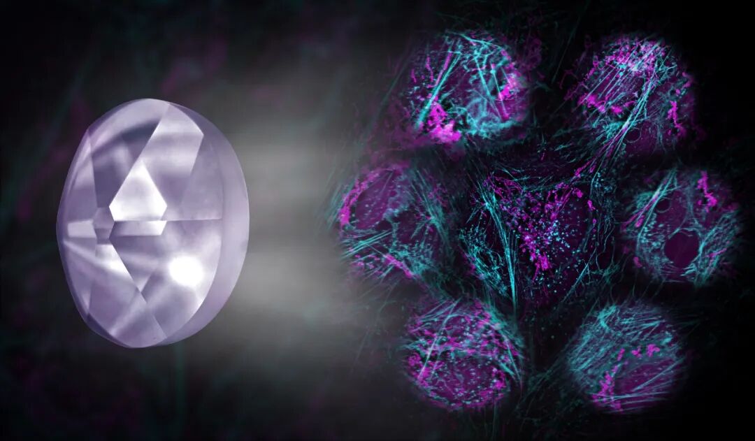 小小分影镜点亮大视野，张昊团队突破介观结构光投影极限